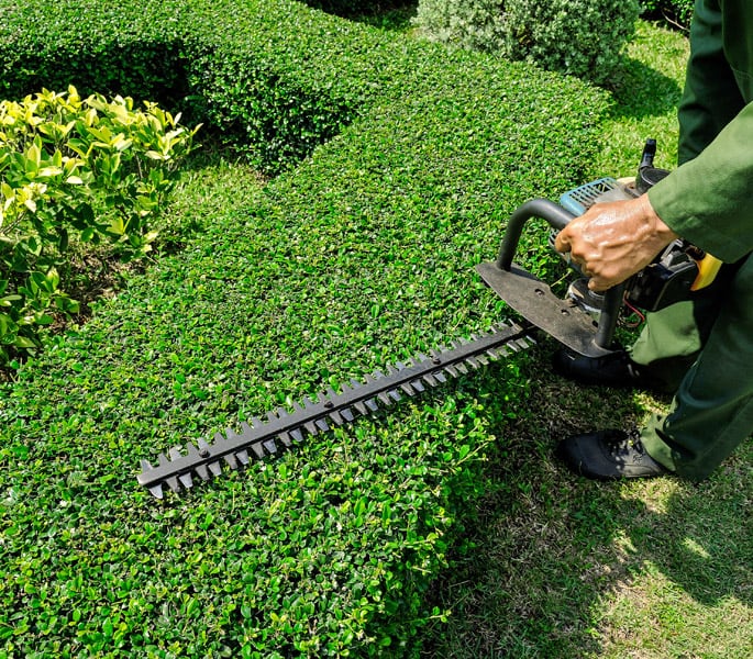 Landscape Maintenance in Hamilton