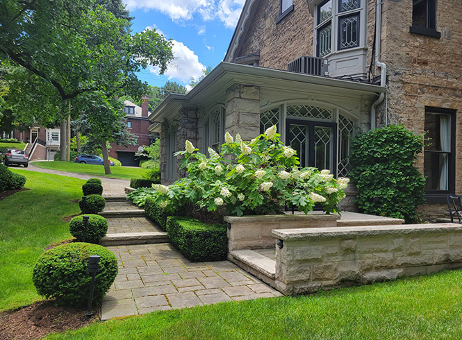 Dundas landscaping project